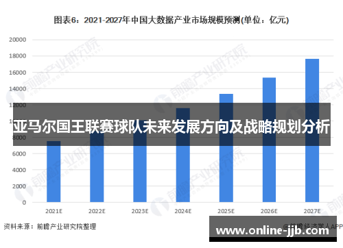 亚马尔国王联赛球队未来发展方向及战略规划分析