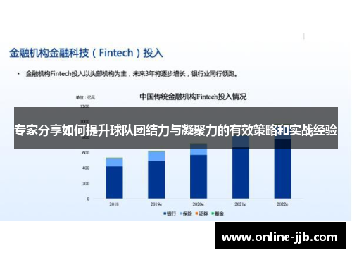 专家分享如何提升球队团结力与凝聚力的有效策略和实战经验