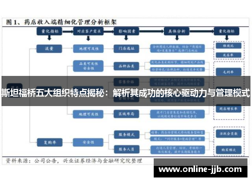 斯坦福桥五大组织特点揭秘：解析其成功的核心驱动力与管理模式