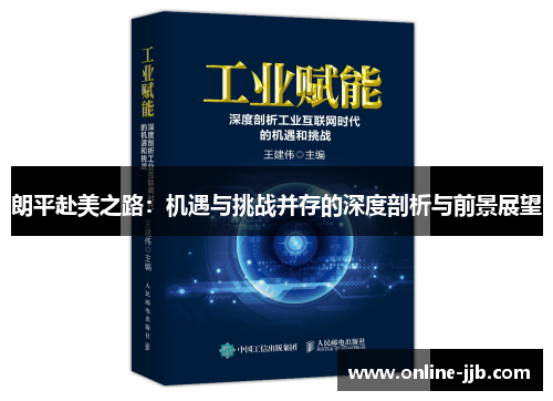 朗平赴美之路：机遇与挑战并存的深度剖析与前景展望