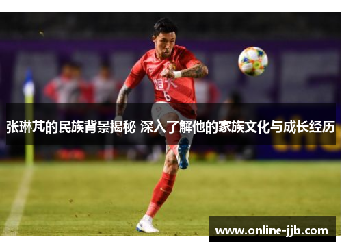 张琳芃的民族背景揭秘 深入了解他的家族文化与成长经历