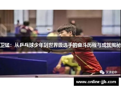 卫猛：从乒乓球少年到世界级选手的奋斗历程与成就揭秘