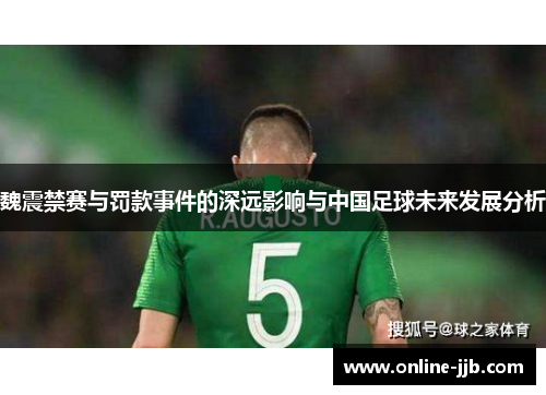 魏震禁赛与罚款事件的深远影响与中国足球未来发展分析
